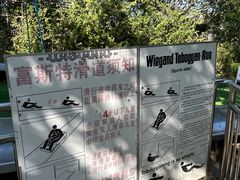 -富斯特索道
