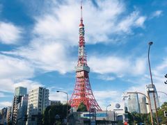 -六本木新城展望台(东京城市景观)
