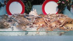 -阳光五洲大酒店·宴会厅