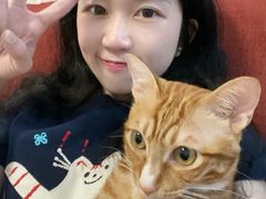 -乐琪宠物医院·犬猫专科·骨外科·急重症