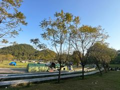 -铁山坪森林公园