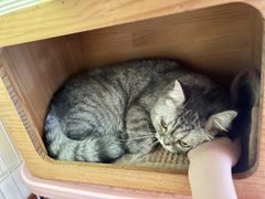 -CLUE演绎实景剧本杀(江南西店)