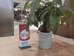 -CoCo都可(卓展店)