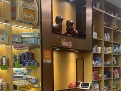 -pd派德宠物中心医院24H急重症·眼科中心·血液透析中心(嵩山北路店)