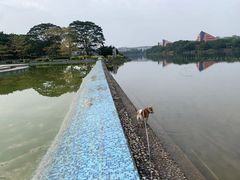 -松山湖风景区松湖烟雨