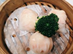 -新雅粤菜馆(南京东路店)