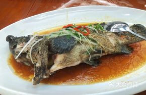 Steamed Grouper