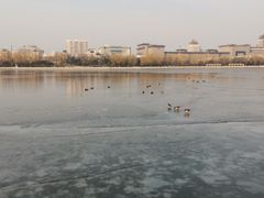 -莲花池公园
