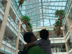 -大族广场Mall&More