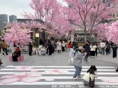 -首开·龙湖成都西宸天街