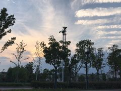 -巢湖姥山岛