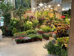 -双季花艺园艺市场(浦东店)