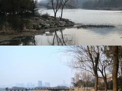 -长广溪湿地公园