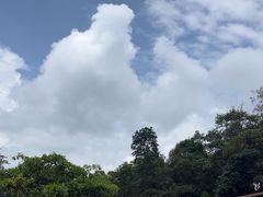 -普洱太阳河森林公园