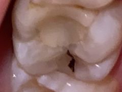 -天津市滨海新区塘沽口腔医院