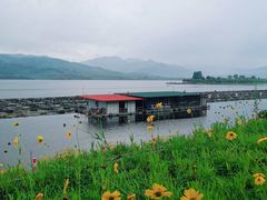 -河口景区