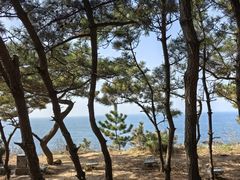 -养马岛旅游度假区