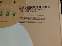 -山东省科技馆(新馆)