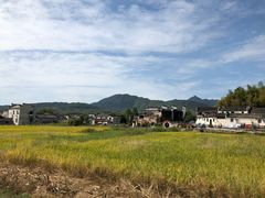 -塔川景区
