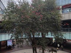 -宝龙城(杭州滨江店)