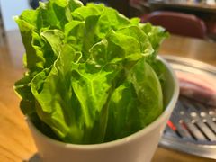 -·缸桶屋·韩式牛肋条自助烤肉(西湖D11店)
