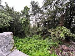 -岳麓山风景名胜区