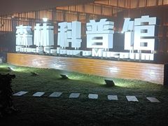 -黄海国家森林公园