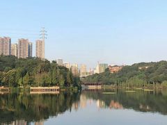 -重庆彩云湖湿地公园