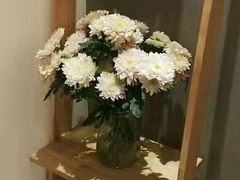 -左悦·艾灸调理·推拿按摩·精油SPA(卓悦汇店)
