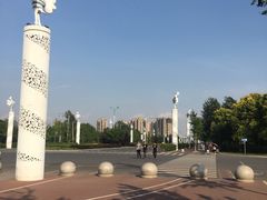 -丁香湖公园