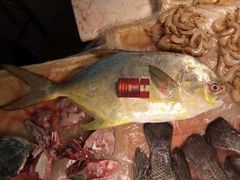 -阳江市第一市场