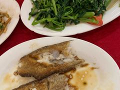 -蛇口康乐快餐鱼仔档(翠苑小区店)