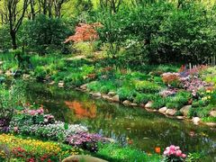 -上海共青森林公园