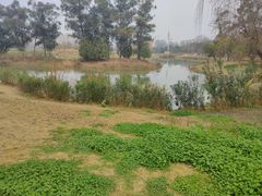 -两河城市森林公园