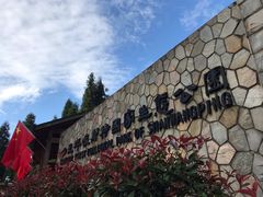 -山王坪喀斯特国家生态公园