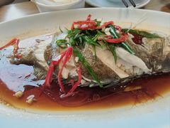 -日出青木·杭帮菜名店