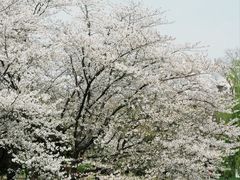 -堤角公园