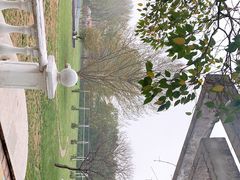 -洛阳郁金香牡丹园