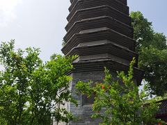 -正阳书局(西四南大街店)