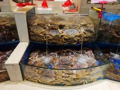 水产区-海景壹号大酒店(滨湖店)