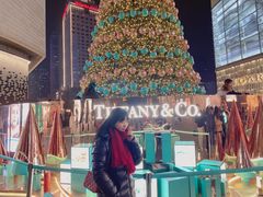 -Tiffany & Co.蒂芙尼
(南京德基广场店)