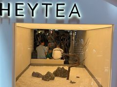 -喜茶(上海正大广场店)