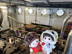 -TSS厄恩斯劳号蒸汽船