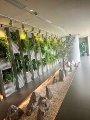 -VELEE·SPA高定疗愈会所