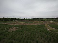 -上海滨江森林公园