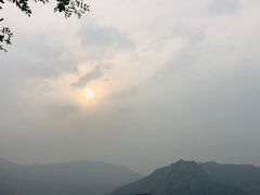 -大自然农场蔬菜草莓采摘园