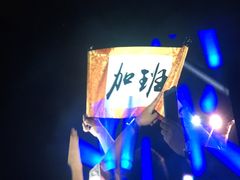 -南京奥林匹克体育中心-体育馆