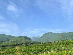 -黑河国家森林公园