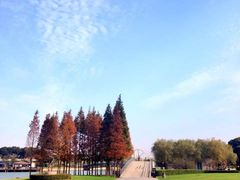 -上海月湖雕塑公园