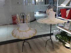 -中央芭蕾舞团·中芭艺蕾(酒仙桥明星校区)